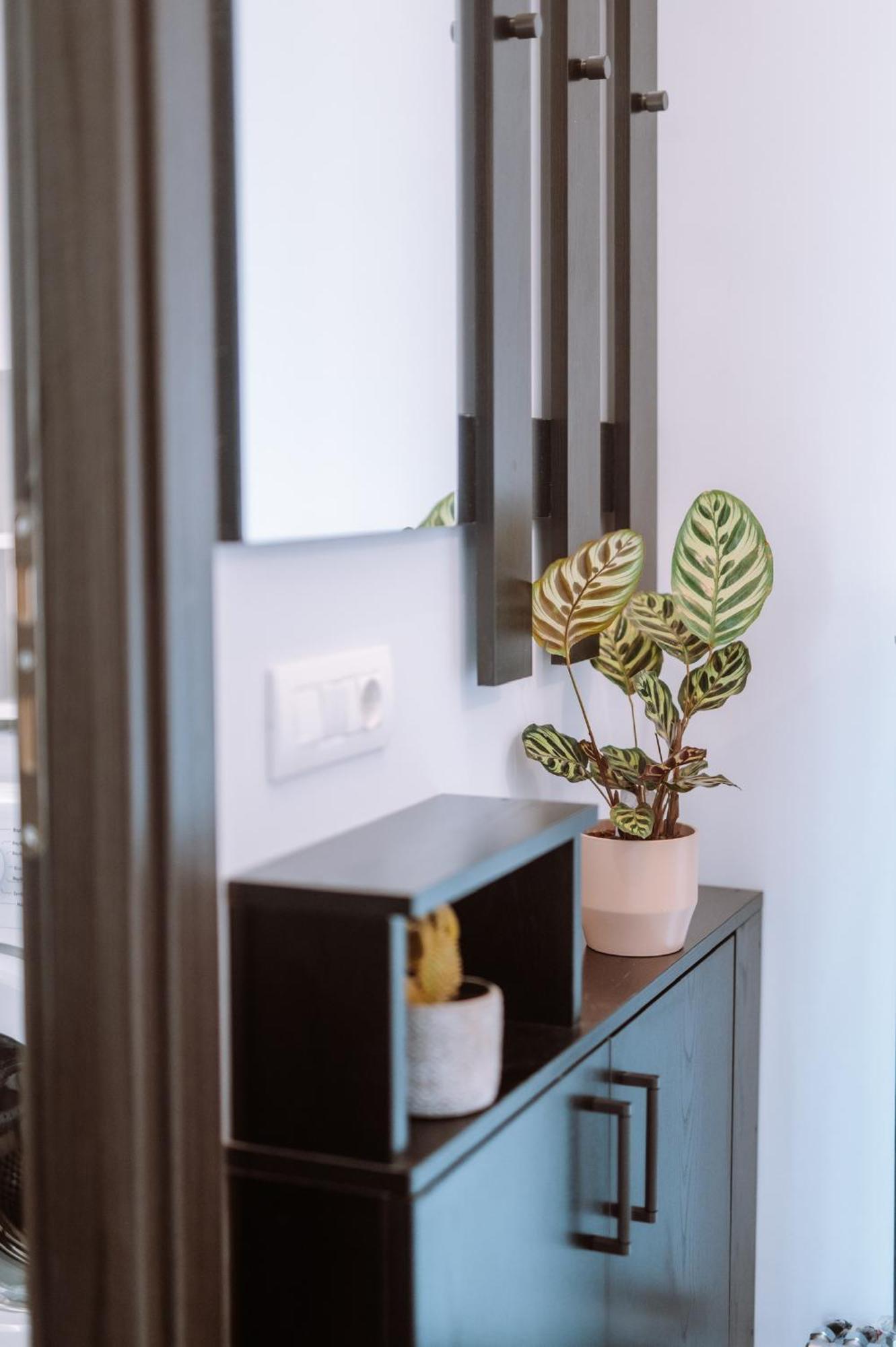 פרבזה Louisa Luxury Apartments מראה חיצוני תמונה
