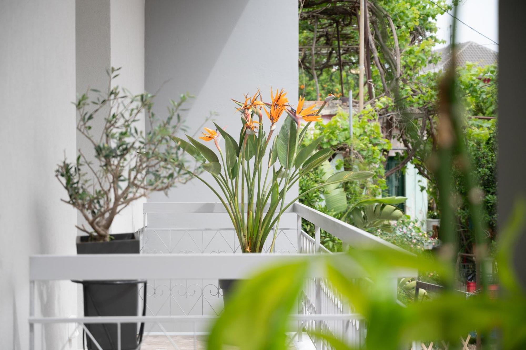 פרבזה Louisa Luxury Apartments מראה חיצוני תמונה